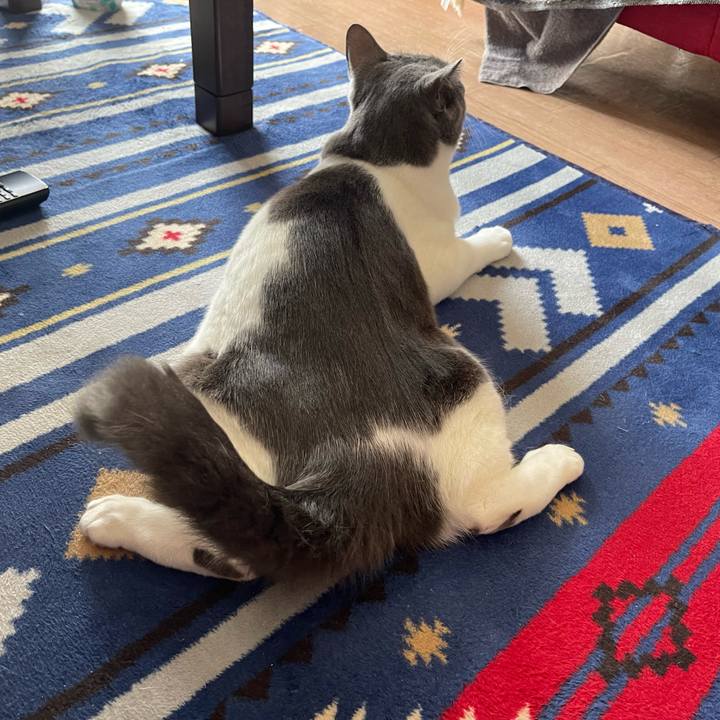 3bc88eb4 caf5 4410 9dd7 ae7bf938397f 1662862924106