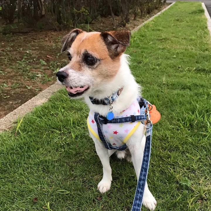 3bc89ec5 079e 4c3a 9db0 5e8a06230375 1566900315111