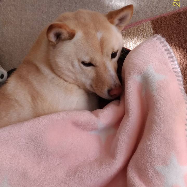 3bc8bc89 a48f 4649 b462 90bb7f985899 1547606914928