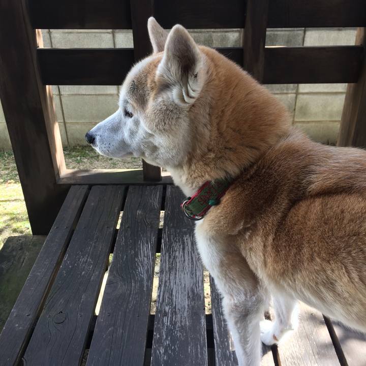 3bc8cdb7 5a55 48c0 a30c ceb00b331083 1570936691347