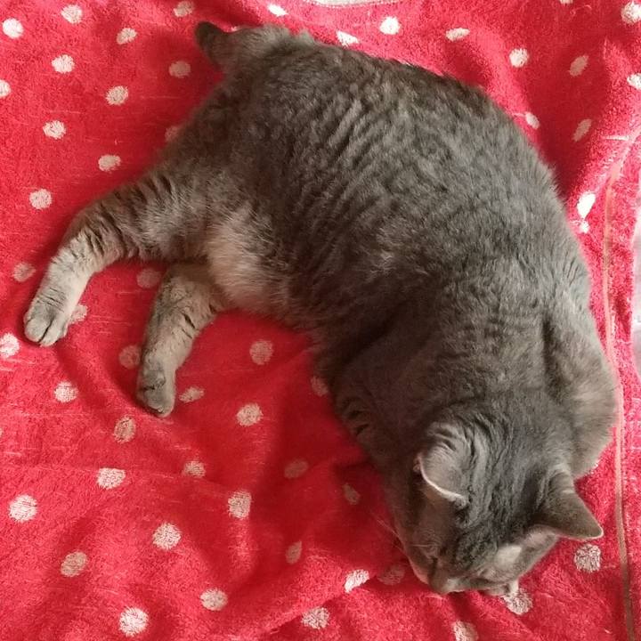 3bc90216 e318 4cbd 929e d0740877932d 1633831663546