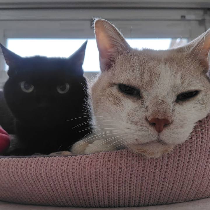 3bc90901 9d05 4503 83c2 4ef25188f6ea 1715552153998