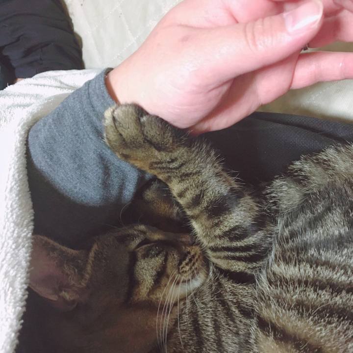 3bc94fa3 7928 451e bff7 b7a79a470807 1549981922417