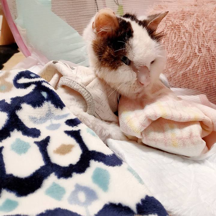 3bc9650f 22d1 47bb 8794 be8fa787e391 1616910141353