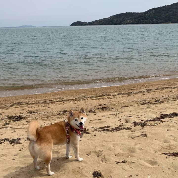 3bc99237 e71c 4ccb b436 dbd19f98f9ed 1648899919329