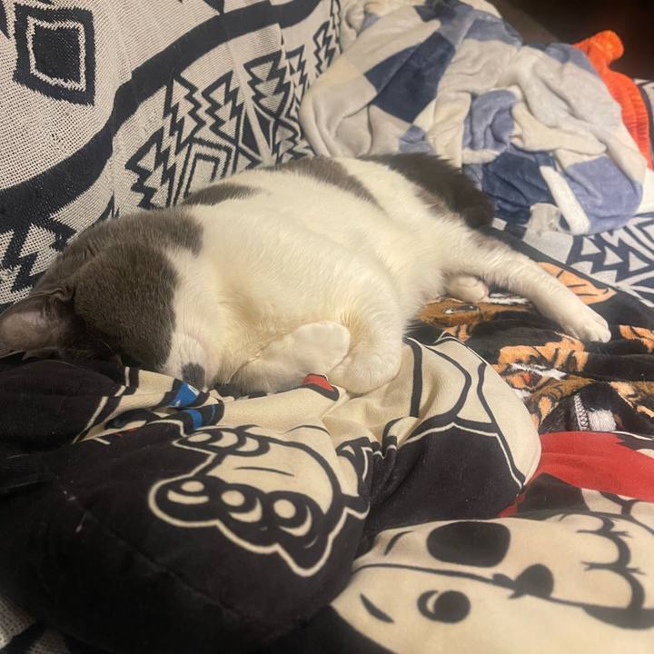 3bc9a42d b022 4095 899a a39752ed90f7 1745692398821