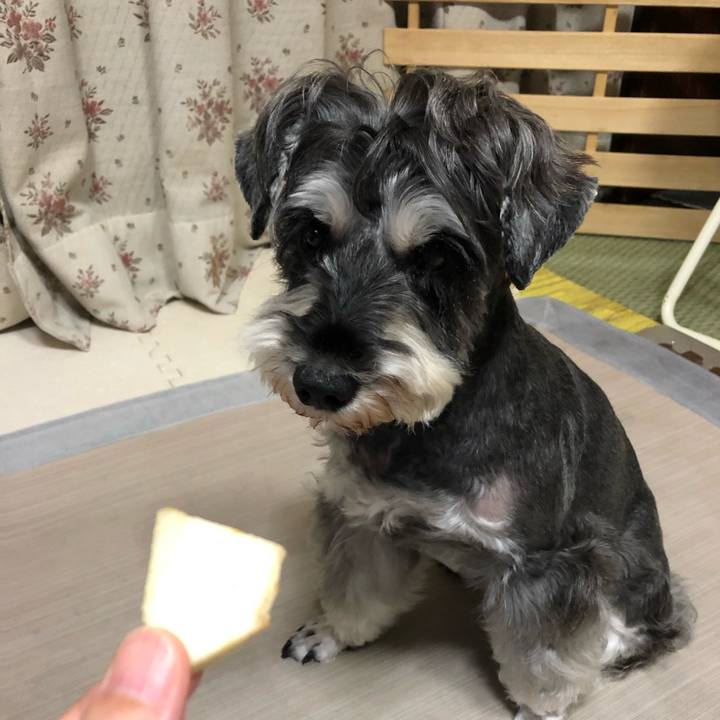 3bc9dc5f 332f 418f 85bd 2b5182d2334a 1631623928788