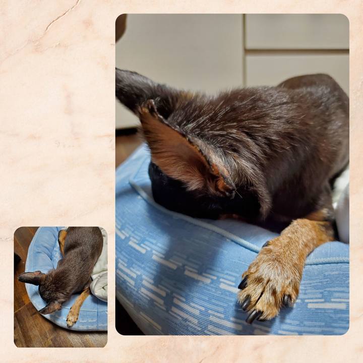 3bc9ddee c716 4b28 b8f7 cd2a1512629e 1696822830202