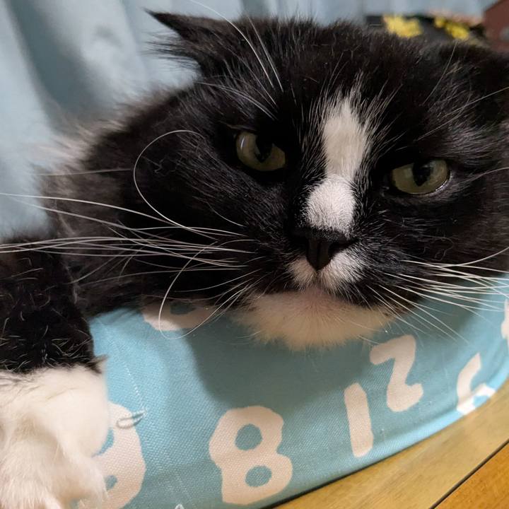 3bca04c0 f339 49e2 956f 61c66185250f 1749418122687