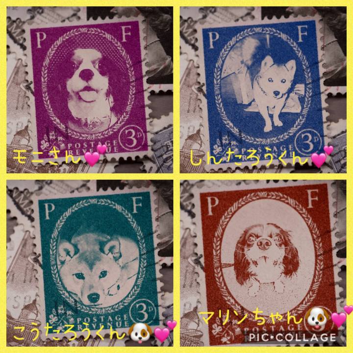 3bca5d05 d710 4166 99ef b99180130af9 1570033426499