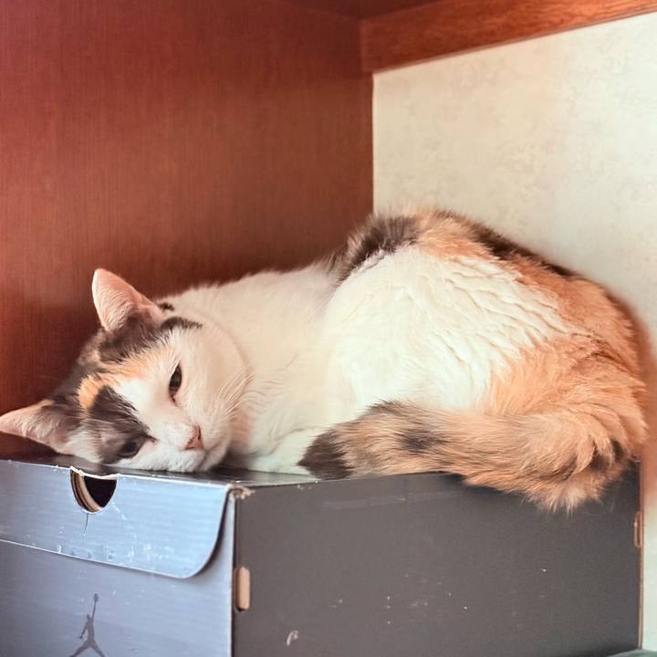 3bca7b75 abbe 41dd a6fc d04ef092b486 1757209665309