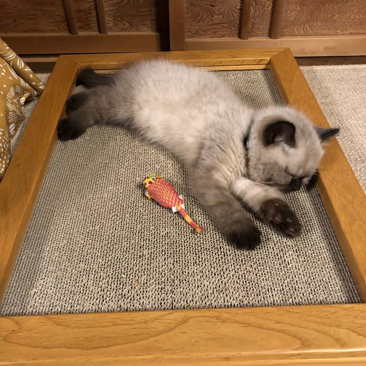 3bca80d3 e06b 405a 9868 d6cb5fb7d9f3 1585460295165