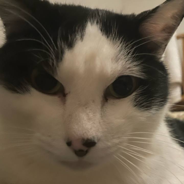 3bca85f7 1273 449e bd05 f26608449821 1710334241324