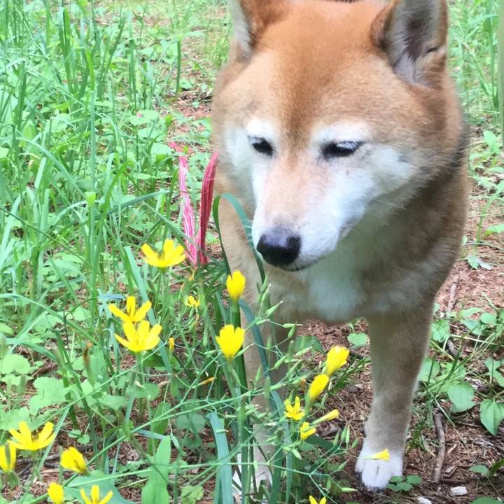 3bca88c9 1586 4cbb 8b22 aac54531812a 1592888507181