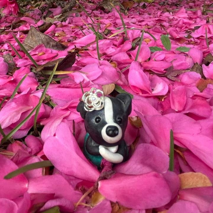 3bcaa180 c83c 42c3 a30d ef3d48b3423d 1764858329439