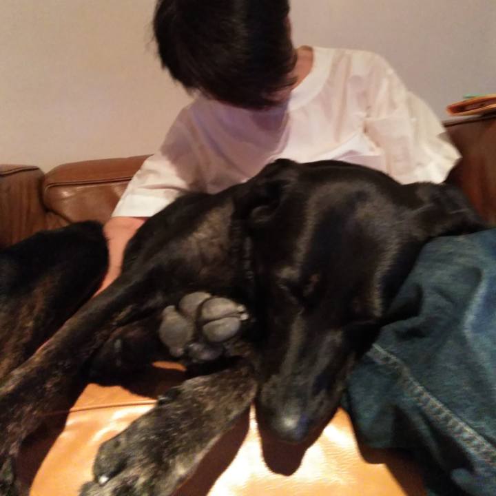 3bcae5d4 b1a5 44d6 8525 208d2afe4630 1588682927056