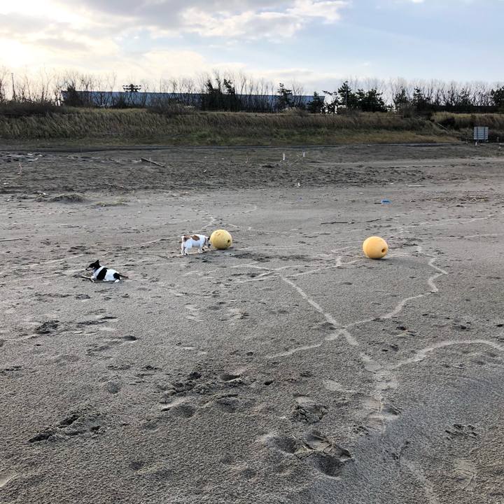 3bcb04d7 bddb 4d4f 8513 ad5923b74da7 1572390295179