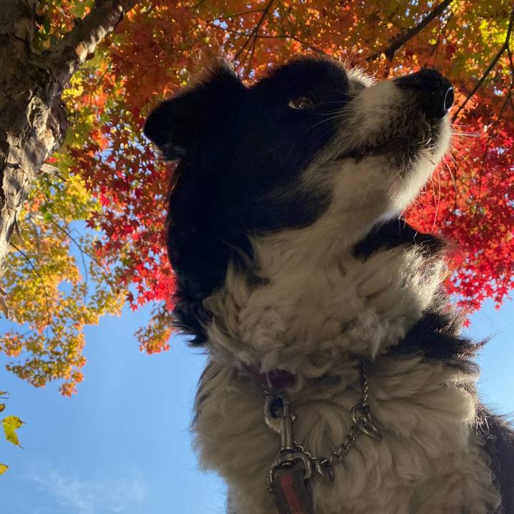 3bcb08ea 97db 4629 b146 d7c1cf5f832c 1668040484088