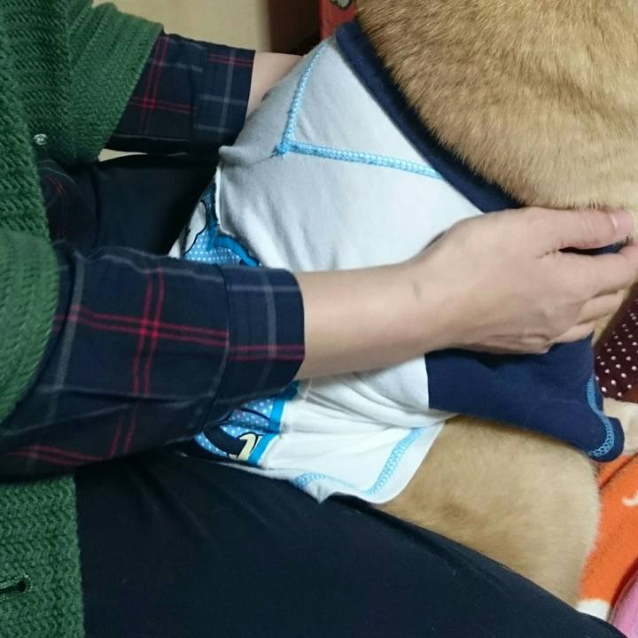 3bcb3166 e0d5 4128 adeb 577600b4e246 1521260387379