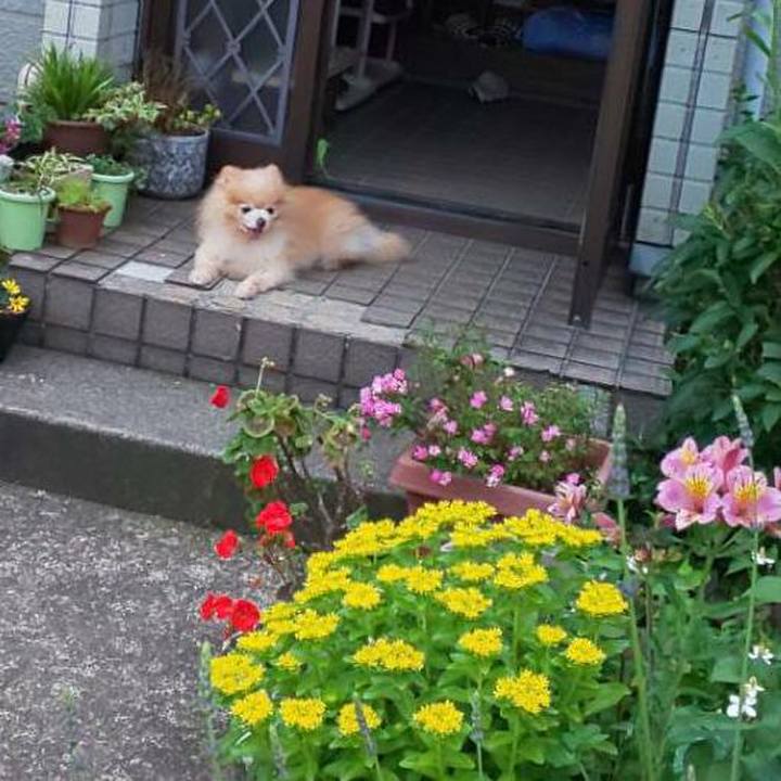 3bcb472d 50d2 44d0 beea a1a0b6ab71b7 1560119323718