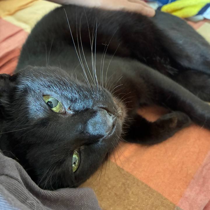 3bcb4d8f b704 4f19 910b 873874aee971 1751668072797