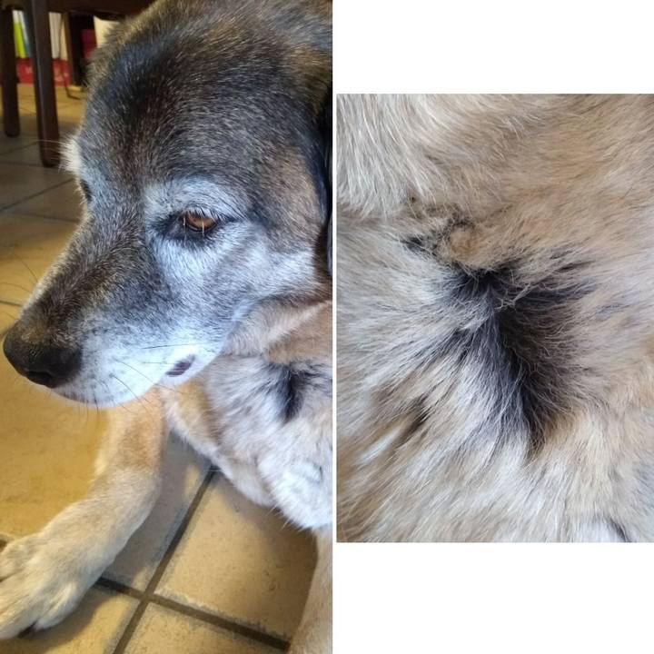 3bcb60d5 438b 4820 b1fb 0b98fa7aea5c 1561541439641