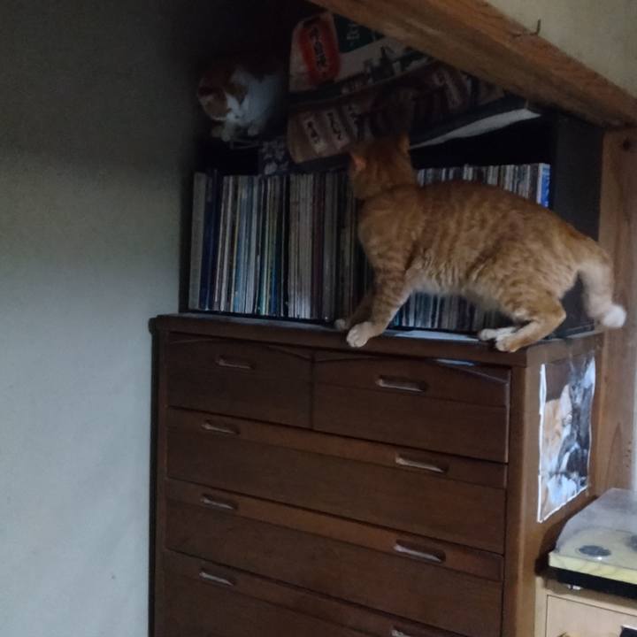 3bcb6cdf b1ac 40b5 a3a9 228b043f8dec 1766223841776