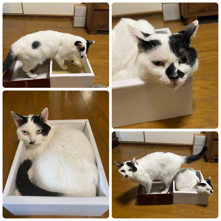 3bcb869c 9eab 464a af94 5693b3b45ca4 1753766456202