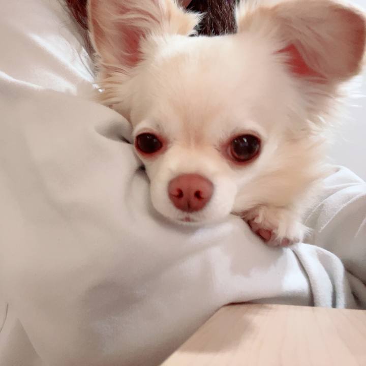 3bcb8ee3 6b96 4024 ae0f 70bf7ce9bb65 1715434124515