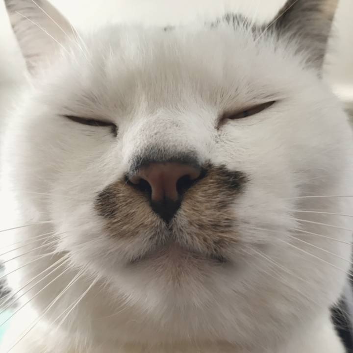 3bcbb6fc 3fa6 43e1 bef6 6b2c30d7c24a 1553398405823