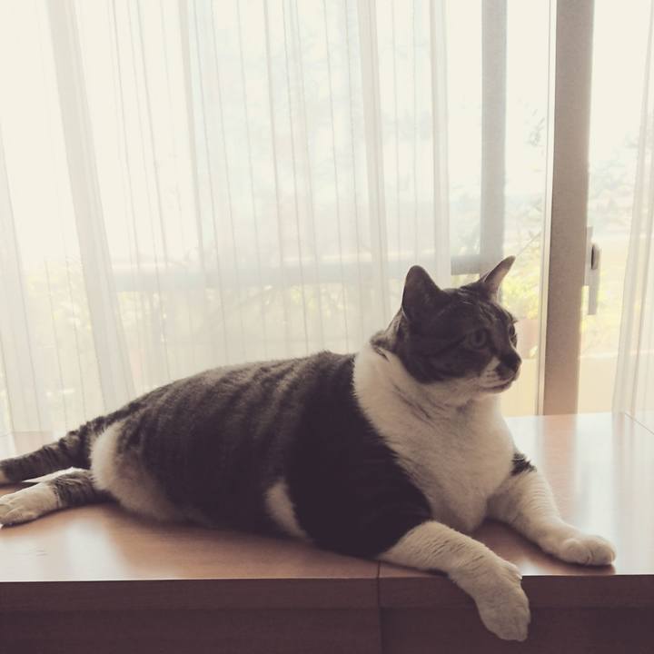 3bcbc839 e313 43d0 892d 7713809b6ef9 1561165072730