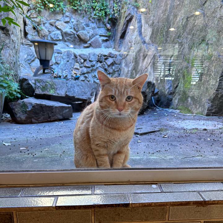 3bcbe253 228b 4a00 bc37 d46d01bf6a0a 1733976827857