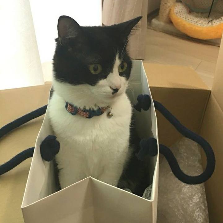 3bcc0f6c dccd 422e acdf 1cc2c200baee 1538145520551