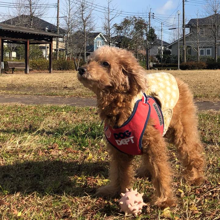 3bcc2417 b60a 4519 bca1 3f96be2ab250 1639451493921