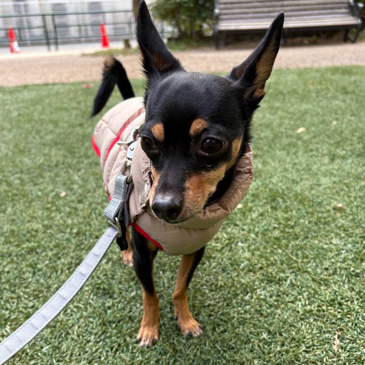 3bcc2f76 59e8 49e3 b5ec f203cfb0fe01 1763562947491