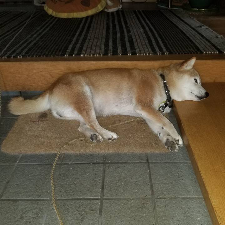 3bcc54c9 2afb 4286 ad4c de6c6addfa05 1659587513830