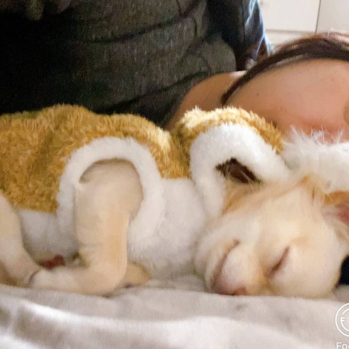 3bcc5cb7 0c45 430a bd91 5104bc3b4047 1607119338842