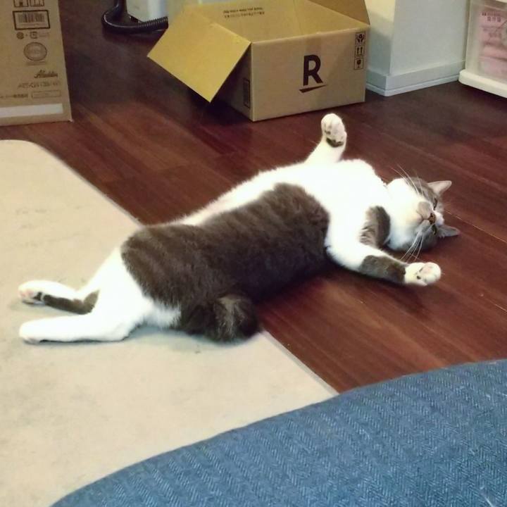 3bcc76eb 241a 4198 ae30 0ded0ebfd059 1634384701457