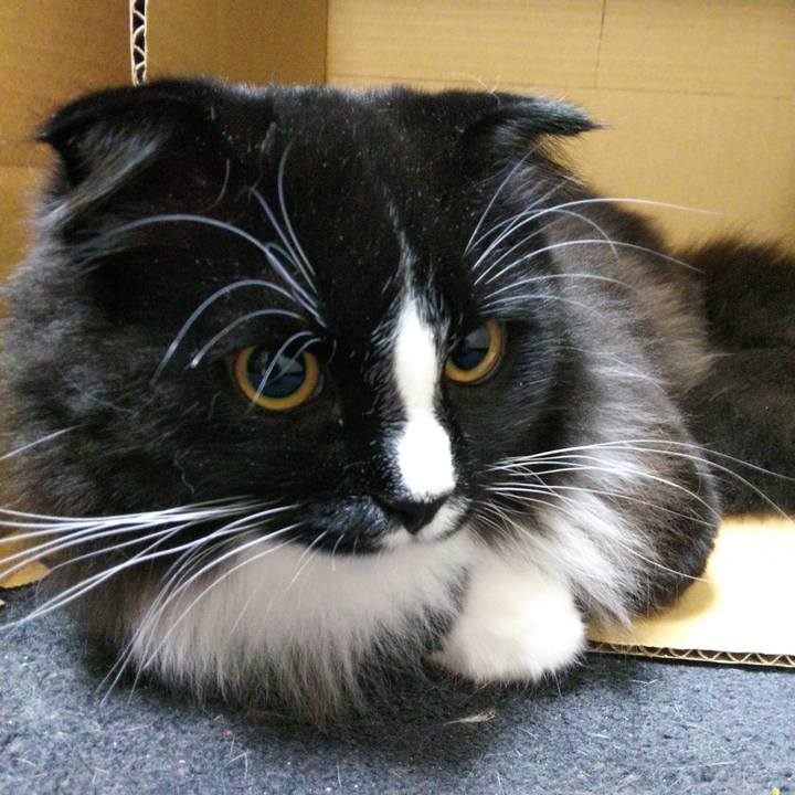 3bcc7bb3 5856 4f11 add6 b56d2adfd643 1651666012205