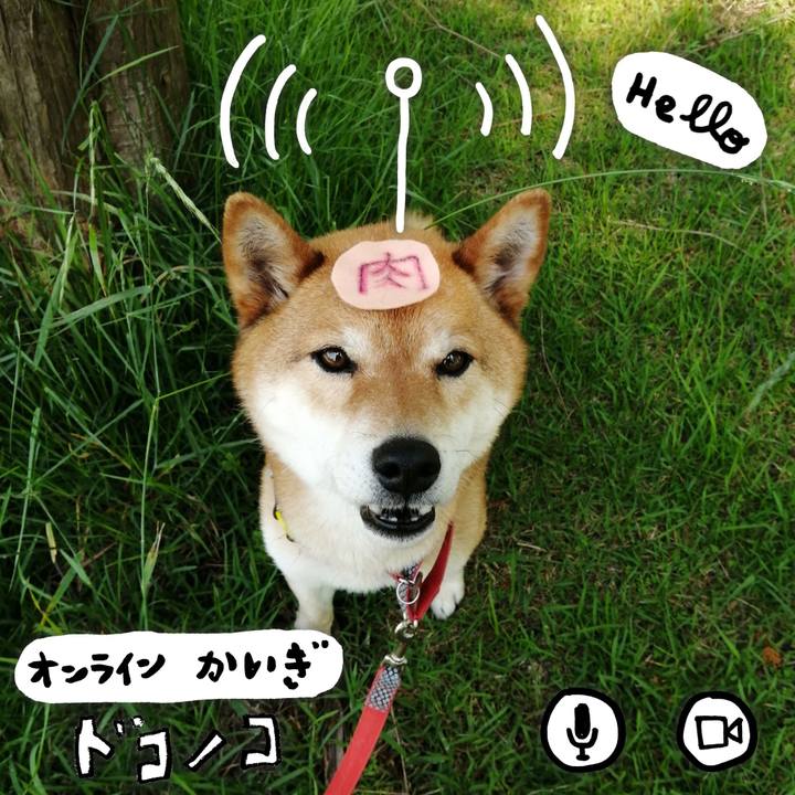 3bcc893c 9e90 4510 8cad 060ea226a27e 1590711606860