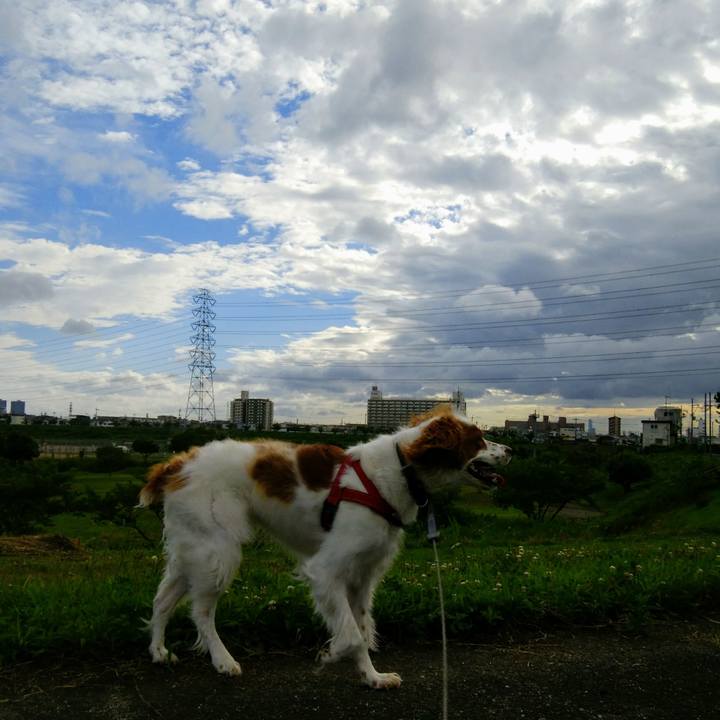 3bcc9c85 8ad4 40b5 bf51 9942782c4e1c 1530706231331