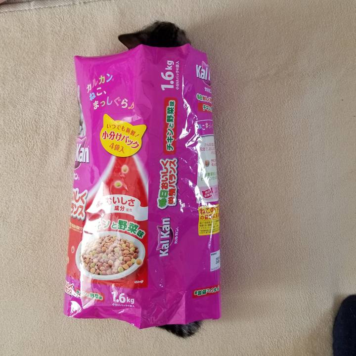 3bccb156 d121 4c0c 87a4 5610145013c6 1672466243548