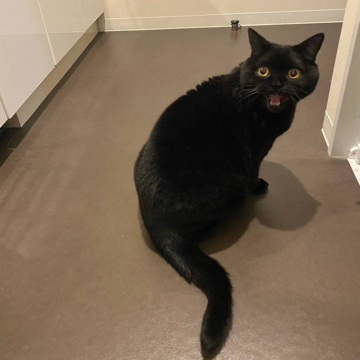 3bccfa09 12ee 4417 870c 962ceb471a90 1772801654619