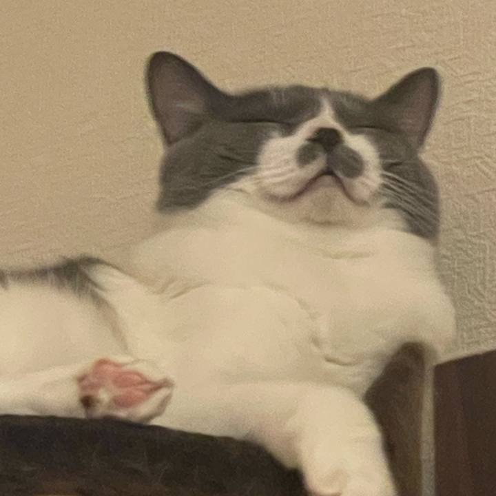 3bcd0173 0e98 488a ac92 6b8dc810e2a7 1694008150244