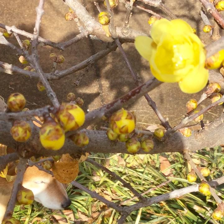 3bcd04f2 4db3 4331 9925 d0f69215e922 1579148235337