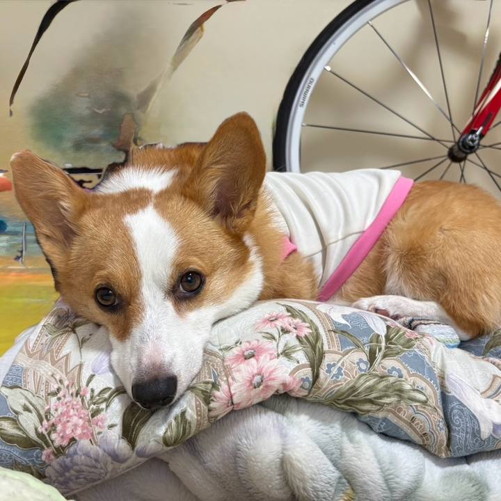 3bcd153c 67dd 4715 9ab1 57604f32fc40 1772321984340