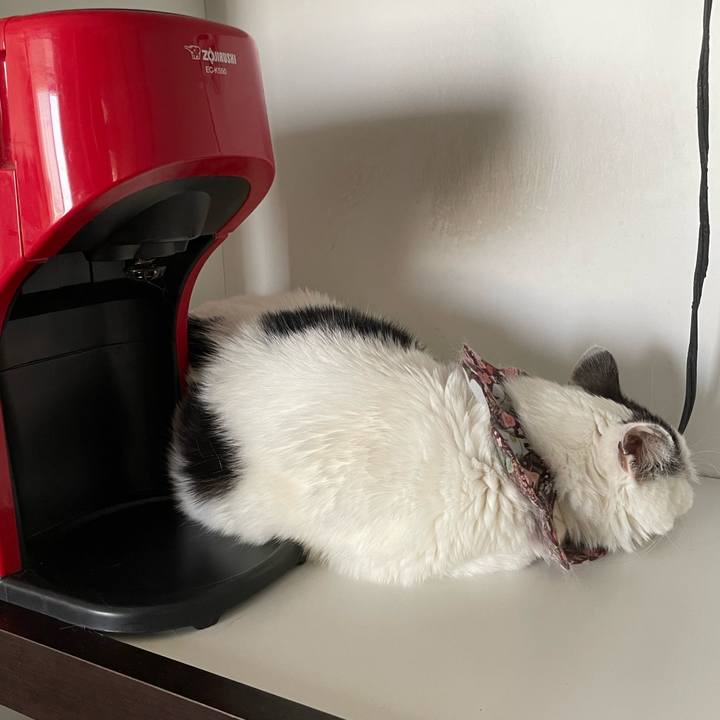 3bcd4686 b723 4b3f b7c5 af0d20de9018 1685590332241