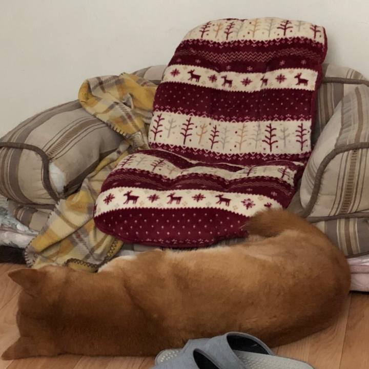 3bcda269 10c7 483b a78f 730effa7f596 1555281435522