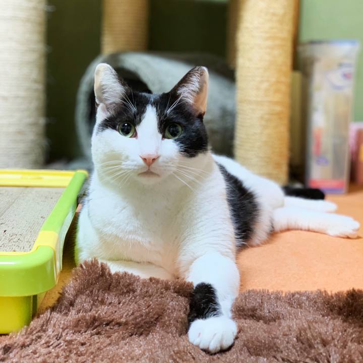 3bcdbb4e 392a 4005 9819 a05bee1a5781 1552614450820