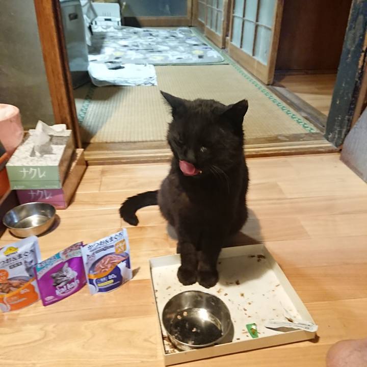 3bce12a6 335c 4f5a 9852 42362d2016b2 1622720549608